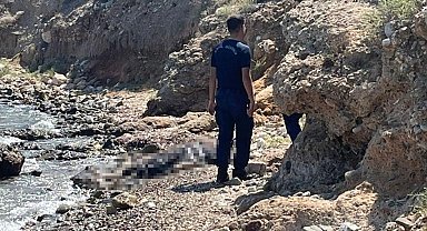 Datça'da sahilde ceset bulundu