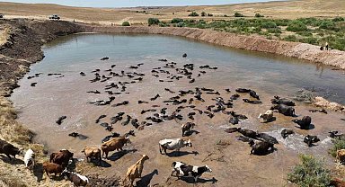 Diyarbakır'da besicilik ve tarımsal sulamada alt yapı güçlendiriliyor