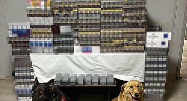 Diyarbakır'da yolcu otobüsünde 8 bin 549 paket kaçak sigara ele geçirildi