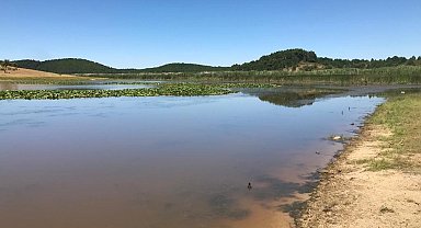 Doğa harikası göl, alkol şişeleriyle katledildi