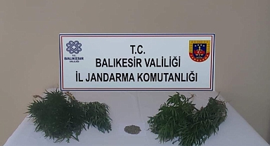 Erdek'te Uyuşturucu Operasyonları Devam Ediyor   