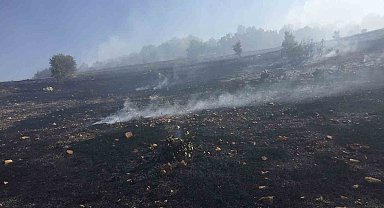 Ergani'deki örtü yangını 10 saat sonra kontrol altına alındı