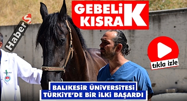 Gebelik Kısrak - Türkiye’de Bir İlk