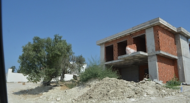 Gömeç’te Talan Edilen Zeytin Ağaçlarının Yerine Lüks Villalar Dikiliyor   