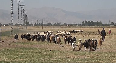 Hasat döneminin tamamlanmasıyla yaylacılar ovaya döndü