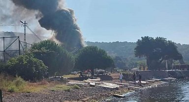 Heybeliada'da havai hatlarda çıkan yangın ağaçlara sıçradı