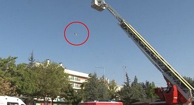 İntihardan vazgeçmek için istediği kedisini metrelerce yüksekten atıp öldürdü