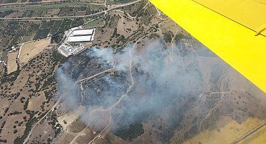 İzmir Menemen'de orman yangını