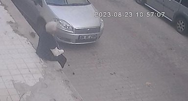 İzmir'de korkunç olay: Farenin ısırdığı kadın hastanelik oldu