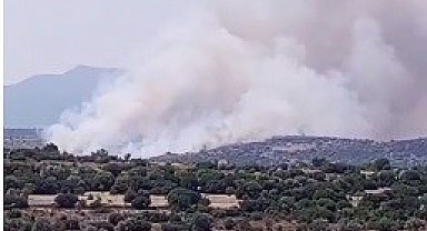 İzmir'de makilik alanda yangın