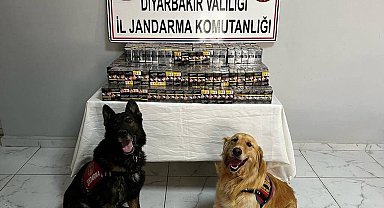 Jandarma ekipleri kaçakçılara geçit vermiyor