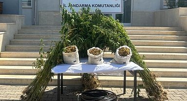 Jandarmadan ormanlık alana uyuşturucu operasyonu