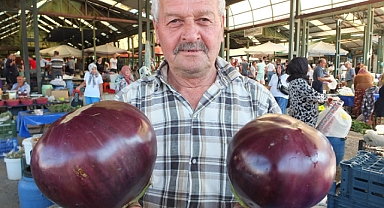 Karpuz Büyüklüğündeki Kiloluk Patlıcanlar İlgi Görüyor 