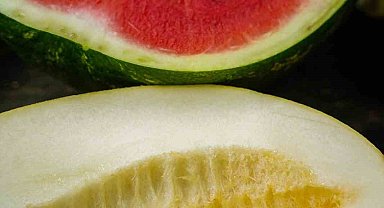 Karpuz Ve Kavun Çekirdeğiyle Zayıflayın