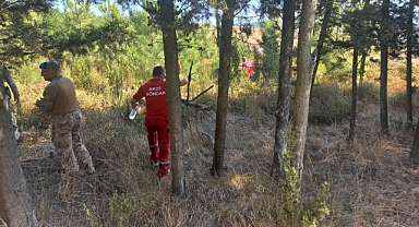 Kayıp Ekonomist Berzeg İçin Ormanlar Karış Karış Aranıyor   
