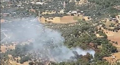 Kiraz'daki orman yangını kontrol altında