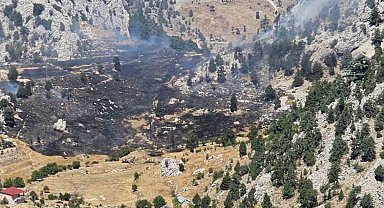 Kırsal alan yangınında 1 hektar zarar gördü