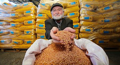 Kocaeli'de 4 bin çiftçiye tohum desteği