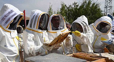 Konya'da Arılı Kovan Desteği Projesi'nde ilk hasat yapıldı