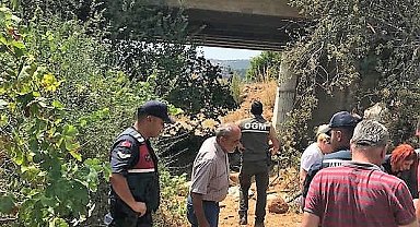 Köprüye çarpan kamyonetteki tarım işçilerini dereye düştü: 1 ölü, 3 yaralı