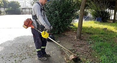 Körfez yabani otlardan temizleniyor