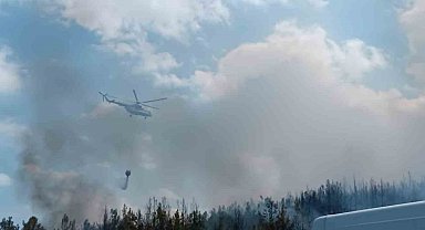 Lapseki'de orman yangını