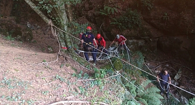 Mağaraya Düşen Danayı İtfaiye Kurtardı   