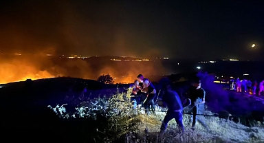 Marmara Adası'ndaki yangın kontrol altına alındı