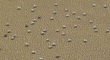 Mega kentte bulunan barajlarda 61 günlük su kaldı