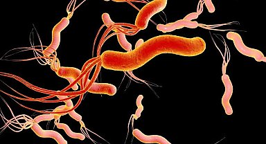 Mide kanseri tespiti için geliştirilen biyosensör patentlendi