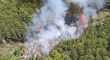 Muğla'da orman yangını
