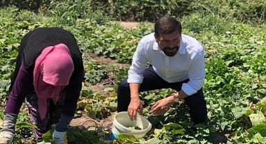 SINDIRGI'DA SEBZE VE MEYVE ALIM FİRMALARI YÜZLERİ GÜLDÜRÜYOR