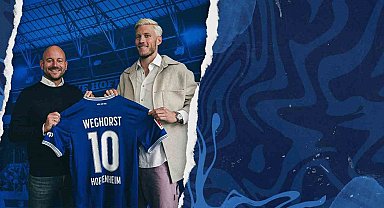Wout Weghorst, Hoffenheim'da