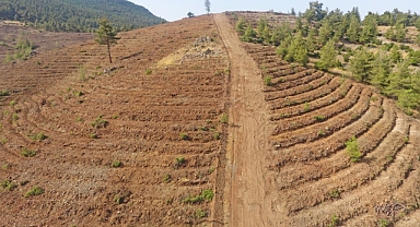 Yeşil Vatan Toprakları Nakış Nakış İşleniyor