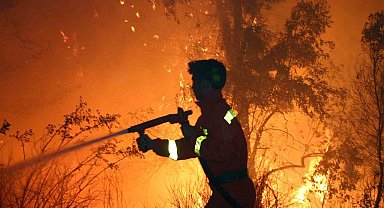 Yeşil vatanın isimsiz kahramanları 'Ormancılar'