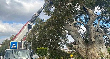 850 yıldır tarihe tanıklık ediyor