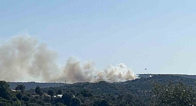 Alaçatı'daki orman yangınına müdahale ediliyor