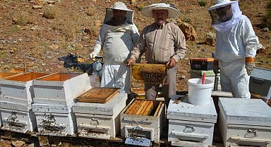 Antalya'da bal rekoltesi düştü, kilogramı 800 liraya kadar çıktı