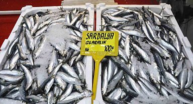 Av sezonunun ilk gününde sardalyenin fiyatı yarı yarıya düştü