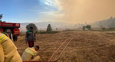 Bolu-Ankara sınırında orman yangını