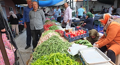 Burhaniye’de Organik Sezonu Başladı   