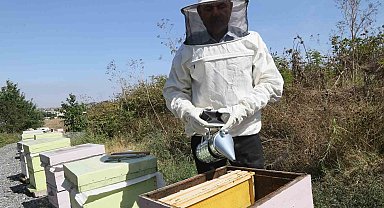 Büyükçekmece'de ilk bal hasadı gerçekleşti