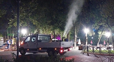 Büyükşehir'den haşereye geçit yok