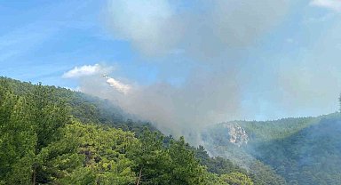 Çanakkale'de orman yangını