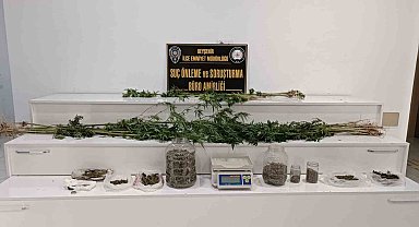 Ceviz bahçesinden uyuşturucu çıktı