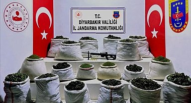 Diyarbakır'da milyonlarca kök kenevir ve 1,5 ton esrar ele geçirildi