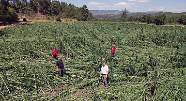 Dolu yağışı ürünlere büyük zarar verdi