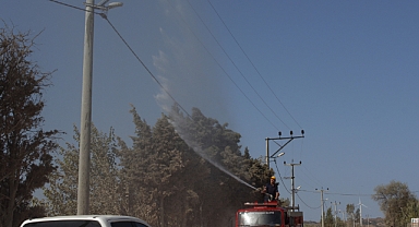 Elektrik Hatlarını Yıkayarak Temizliyorlar 