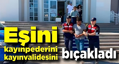 Eşini, kayınpederini ve kayınvalidesini bıçaklamış, 3 kez müebbet hapsi istendi