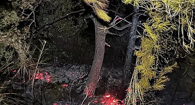 Gazipaşa'da, zamanında müdahale orman yangınını önledi